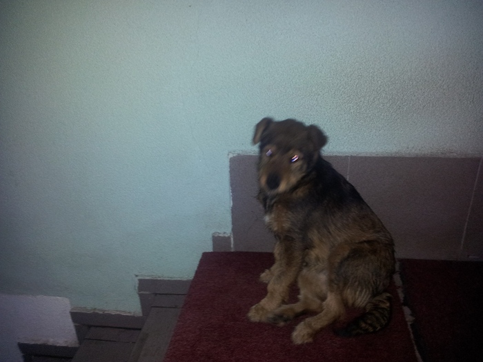 Fenka 12-2012-3