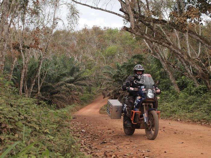 KTM tropickym pralesem