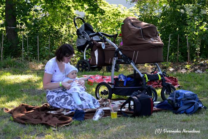 DSC_6392 (1)