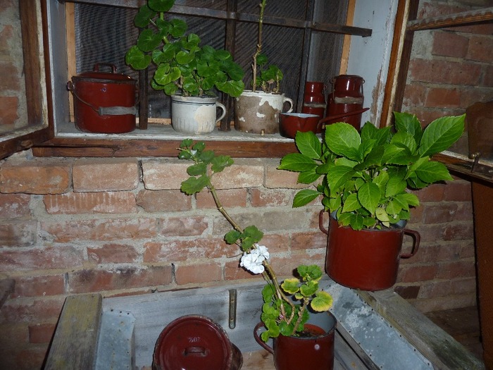 P1000898