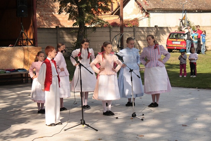 Křenováček