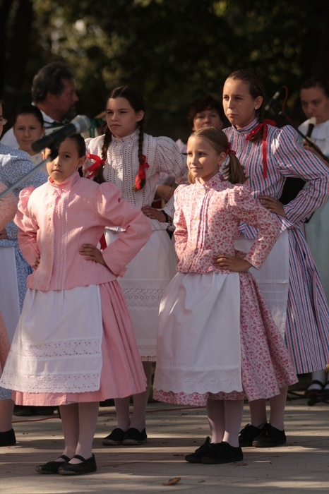 Křenováček