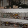 DSCN1839