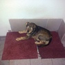 Fenka 12-2012-1
