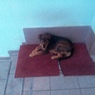Fenka 12-2012-2