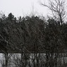 P1440816