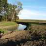 P1000607