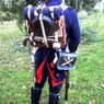 DSCN1152