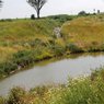 7004029-krenovice-rekreacni-zona-prirodni-nadrz-mezivodi_galerie-980