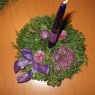 DSC03903