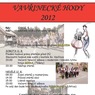 Plakát - hody 2012