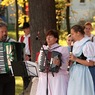 Křenovák