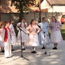 Křenováček