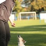 IMG_4760