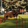 IMG_4800