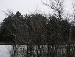 P1440816