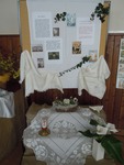 DSCN2317