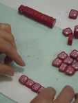 DSCN2204