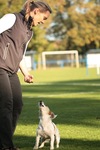 IMG_4760