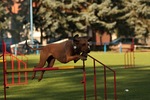 IMG_4800