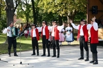 Křenovák
